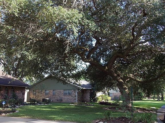 4th image of 56 N Shamrock Ct