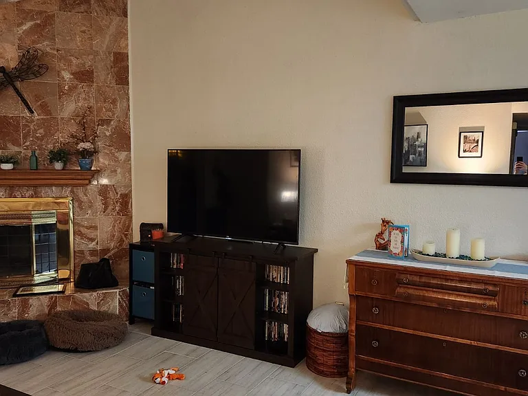 915 S Lola Ln — Photo 14