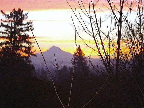 View  of Mt. Hood from Master bedroom