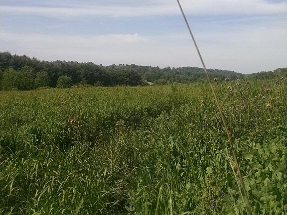 3rd image of Old Niles Ferry Rd