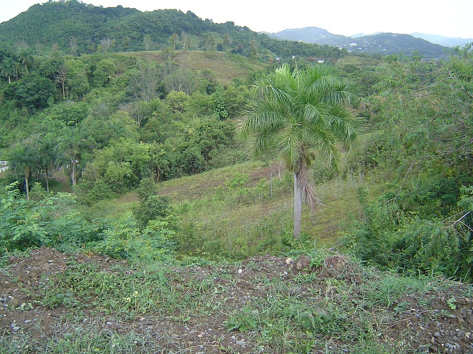 1st image of 45 Calle La Roca Bo. Santa Cruz # Lote