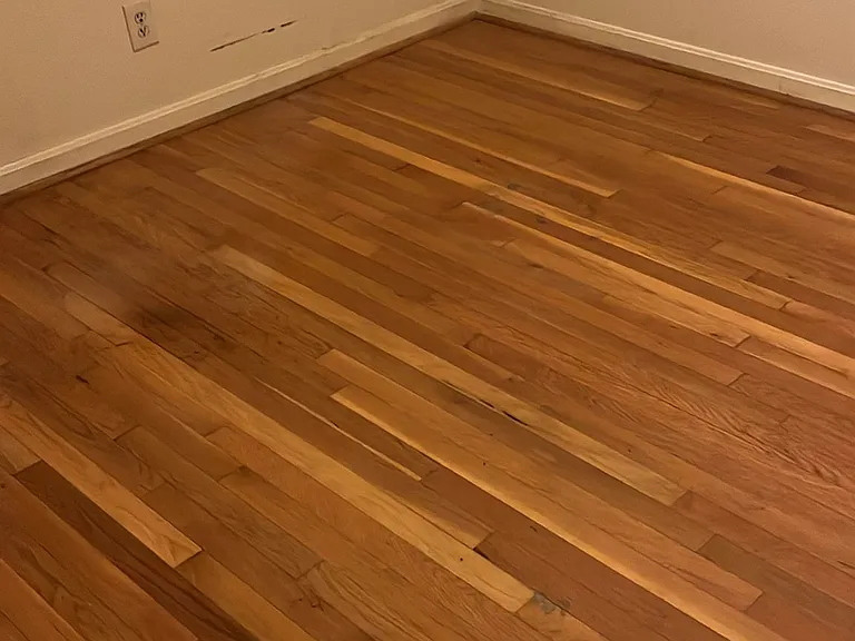 1501 Glenallan Ave — Photo 13