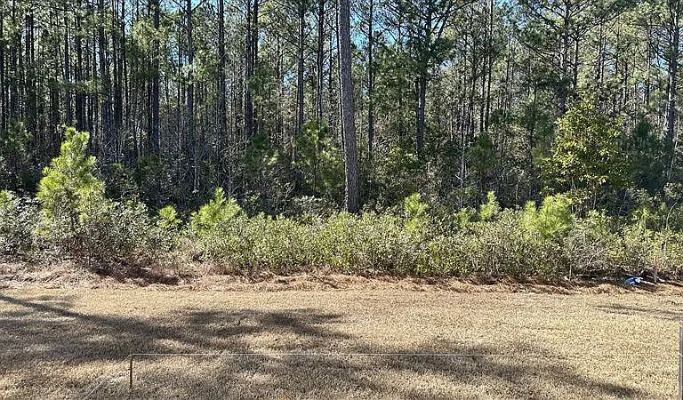 442 Ladyfish Loop — Photo 20