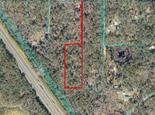 9550 NW 230th St E, Micanopy, FL 32667