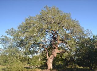 120 W Creek Cv, Dripping Springs, TX 78620