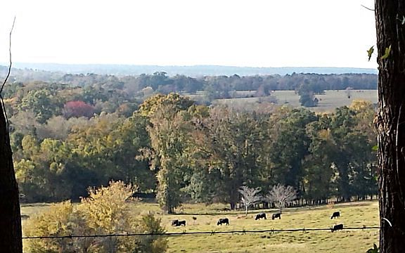 3rd image of 815 An County Road 1221