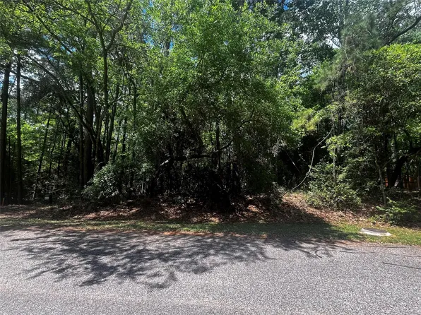 73 Sunny Hill Dr Lot 53, Coldspring, TX 77331