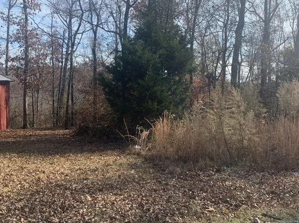 0 Lower Roans Creek Rd, Linden, TN 37096