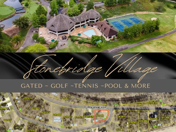 Lot 30 Roark Branch Road, Branson West, MO 65737