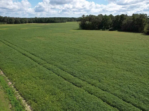 TBD Cantley Landing Rd., Andrews, SC 29510