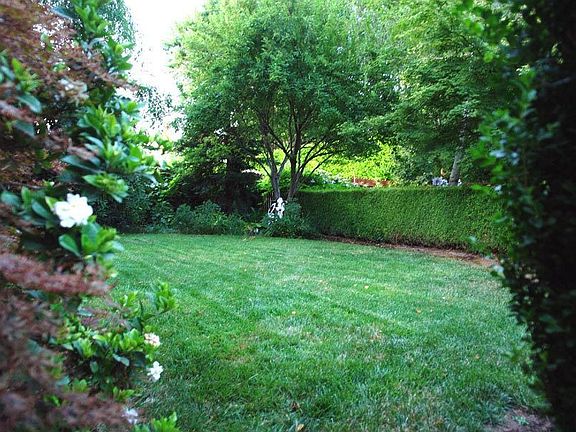 Back Lawn area