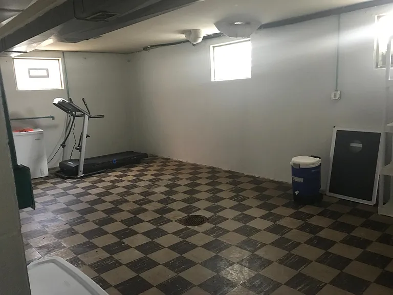 Basement and bonus storage area