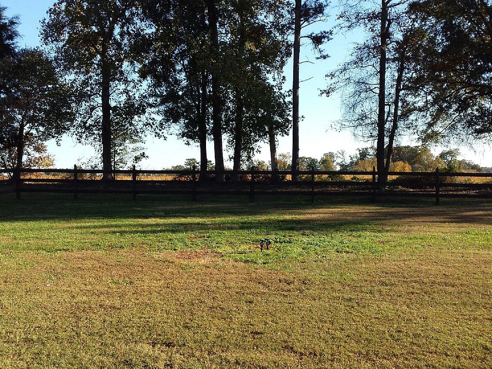 back yard view