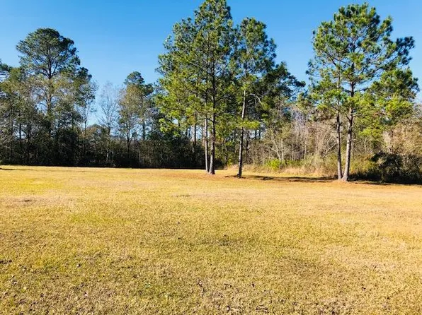 3270 McMillan Rd, Ochlocknee, GA 31773