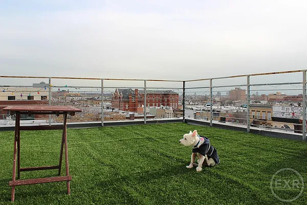 Rented by EXR | media 59