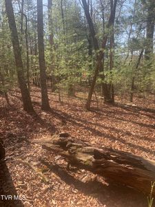 Jr Gray Rd, Greeneville, TN, 37743