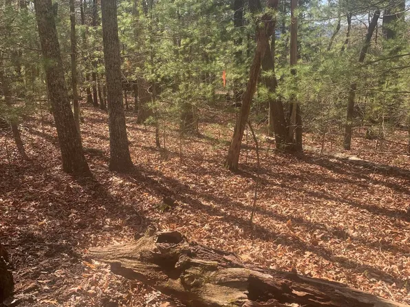 Jr Gray Rd, Greeneville, TN 37743