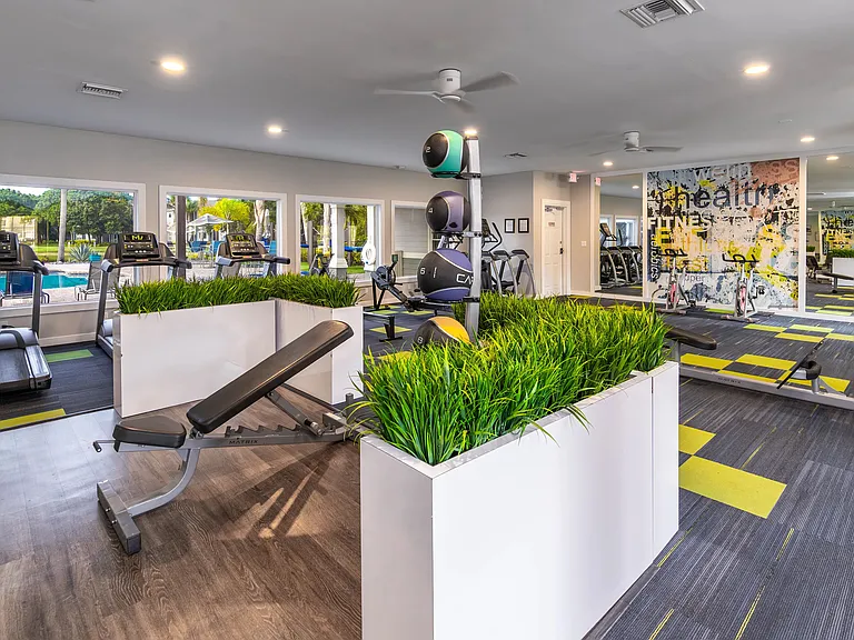 Enjoy a full-body workout in our open, light-filled fitness center equipped with treadmills, weight benches, medicine balls, and more.