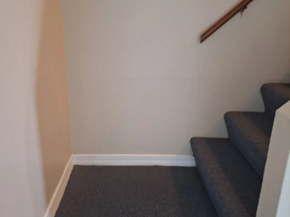 101 Cleveland St