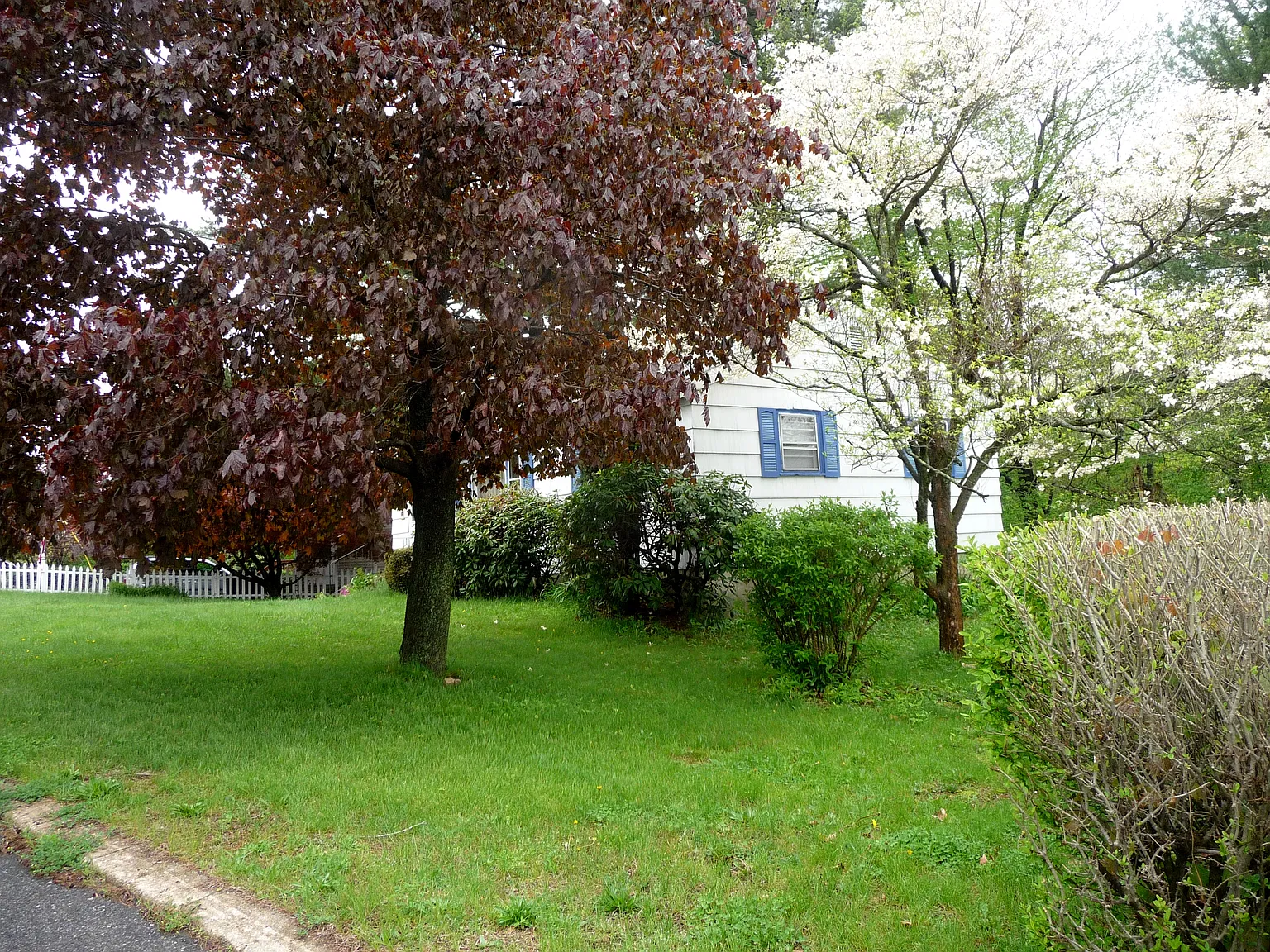 396 Leslie Dr — Photo 3