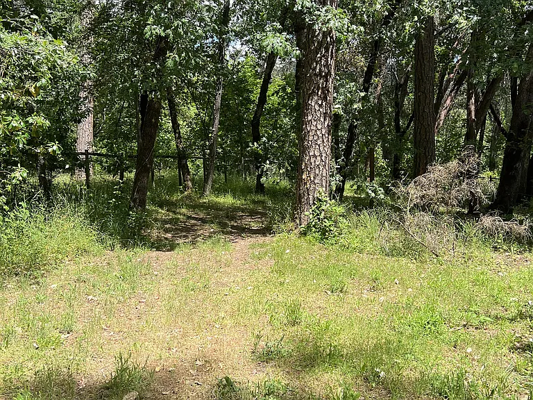 8401 Riverbanks Rd — Photo 26