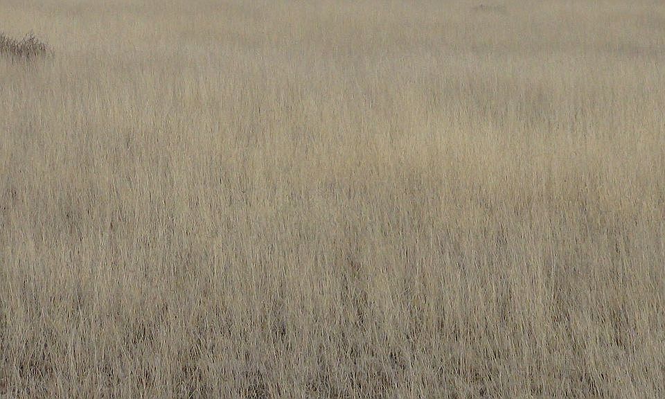 In beautiful New Mexico sun.