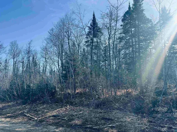 5 Xxx County Rd, Carlton, MN 55718