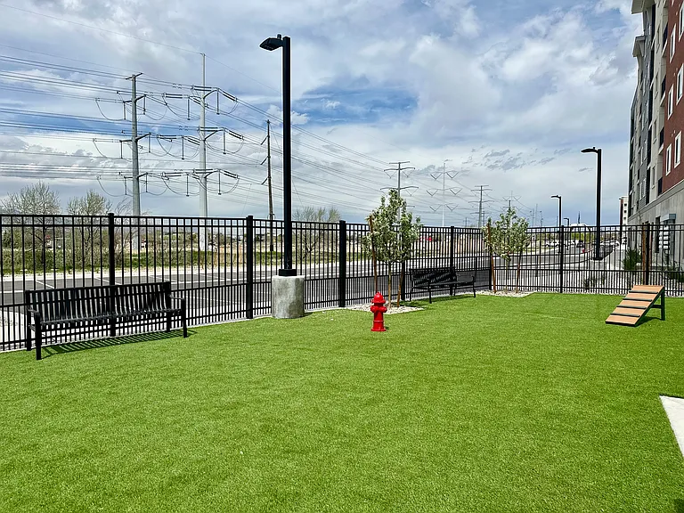 3rd Dog Park
