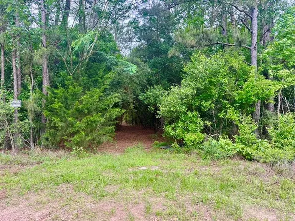 County Road 1375, Warren, TX 77664