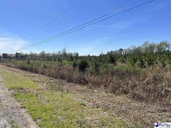 3rd image of Attadale Rd