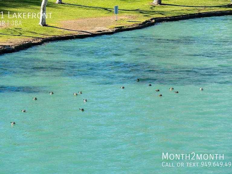 21 Lakefront — Photo 72