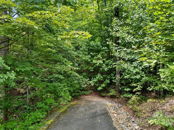 100 Comet Falls Trl #235, Black Mountain, NC 28711