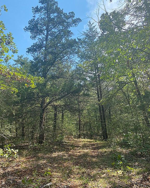 1st image of LOT 11 County Road 2123