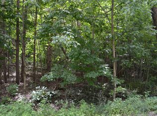 Zimmerman Rd, Rapid City, MI 49676