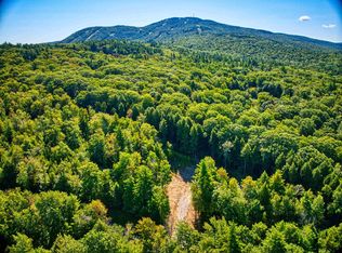 LOT 5 Pheasant Runn Rd, Goshen, NH 03752