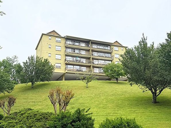 338 Pinnacle View Way Suite 153