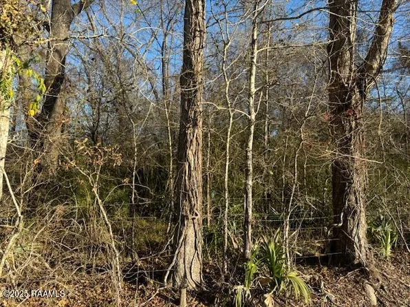 Heard Sylvester Rd, Washington, LA 70589