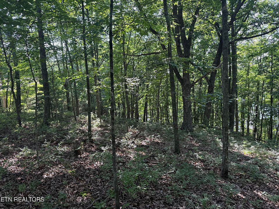 2nd image of Markham Ln