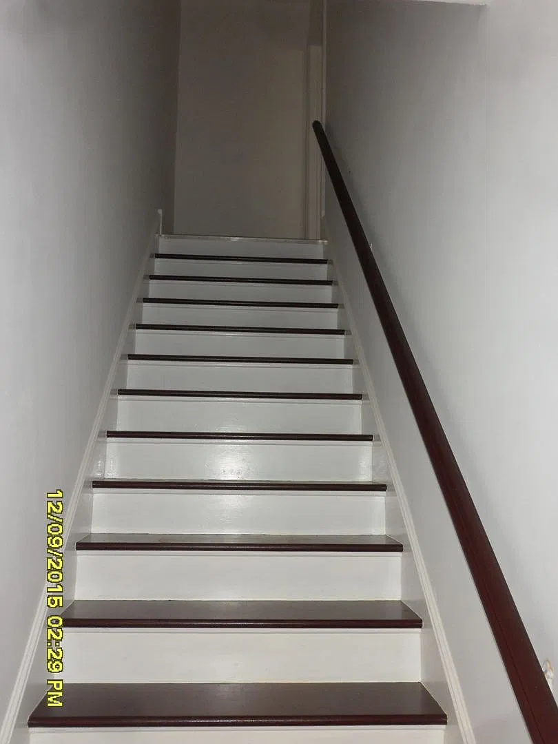 Harold — Photo 4