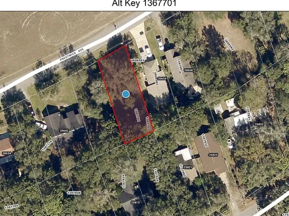 9 Prestwick Ave, Sorrento, FL 32776
