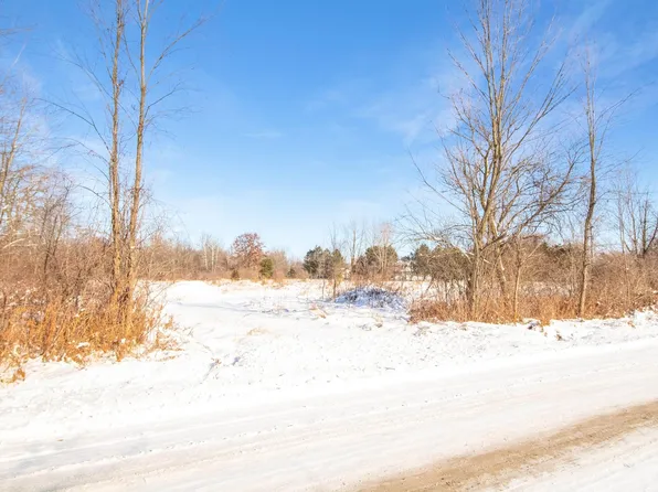 9936 Webb Rd, Goodells, MI 48027