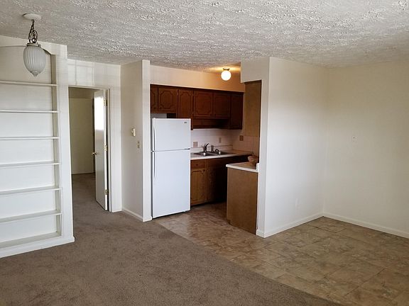 Living Room/ Kitchen Area