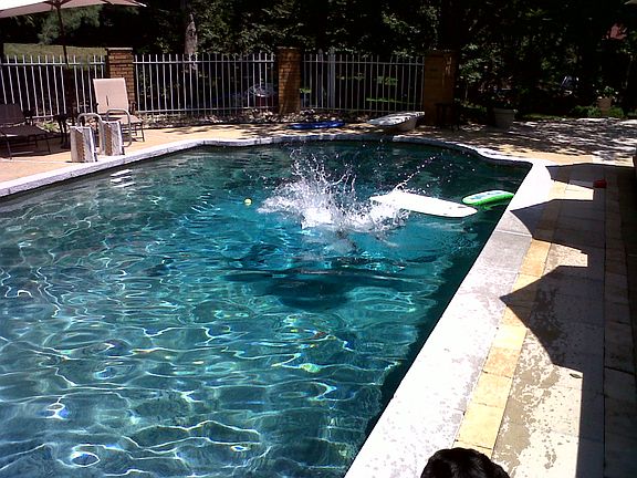 Lab Getting Tennis Ball