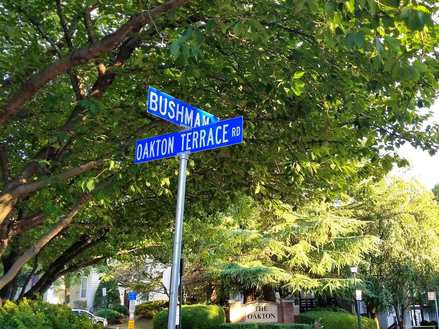 10140 Oakton Terrace Rd — Photo 4