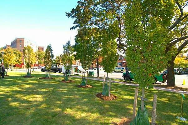 Rented by Brooklyn Vertical Inc. | media 6