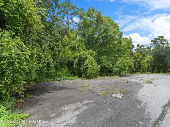 0 N Orange Ave, Brooksville, FL 34601