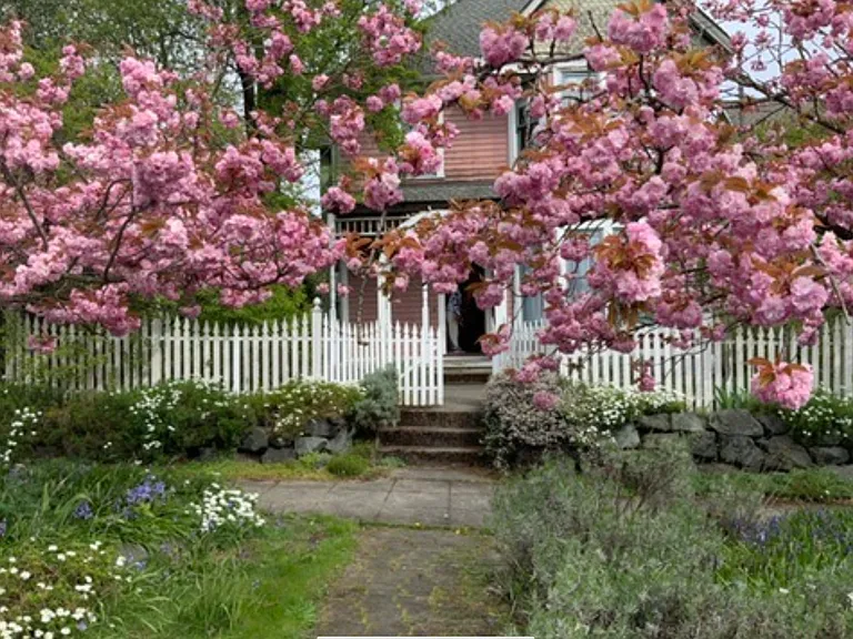 Springtime view from street