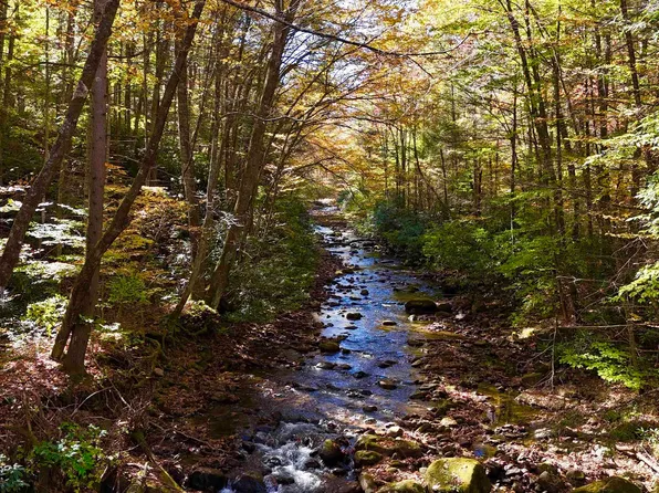 2453 Channell Rd, Mill Creek, WV 26280