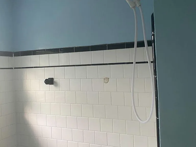 Tub and shower