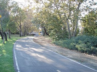 Close To Aliso Creek Trail